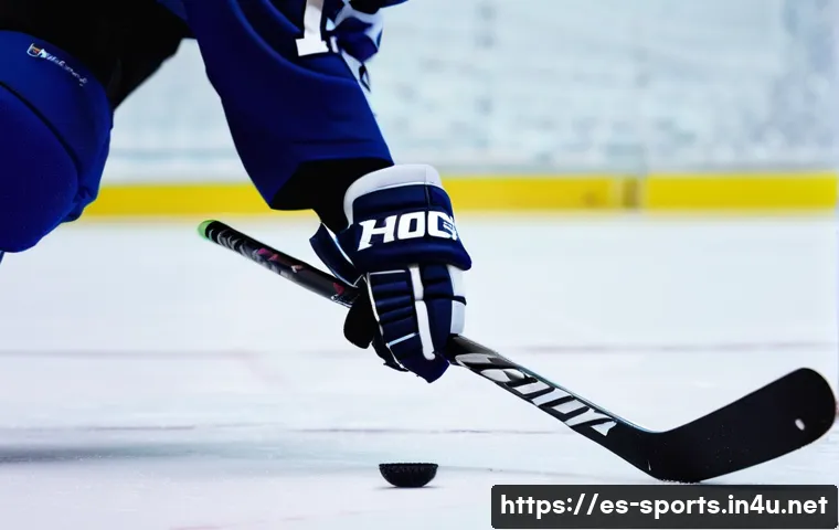 아이스하키 스틱 고르는 법 관련 이미지 2